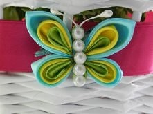 spinka Kansashi motylek