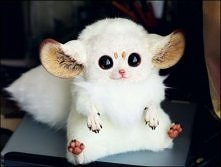 RZYGAM tęczą <3 ^-^