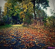 Moje miejsce gdzie uwielbiam być. *.*