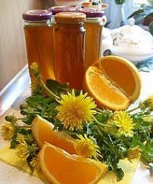 Miód - mniszek i pomarańcza (+przepis m.in. na chrzan)

Syrop z mniszka lekarskiego jest w ostatnim czasie bardzo popularny. Jedni używają go jako lekarstwo na przeziębienia, in...