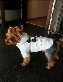 Płaszczyk dla psa :)