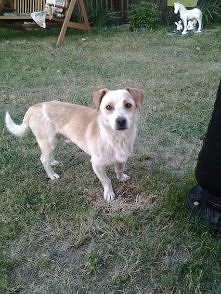 Nigdy Cię nie zapomnę...cho...