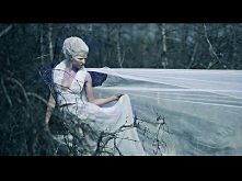 Powiedz mi! Czy wymagam za wiele?