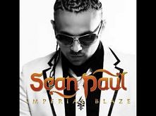 Sean Paul Private Party