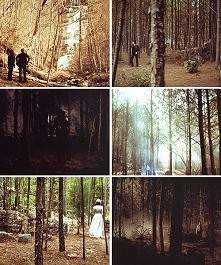 Mysic Falls <3 tak pięknie :o