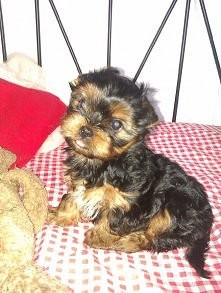 Pierwsze zdjęcie :-)