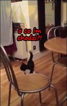 gif ;)