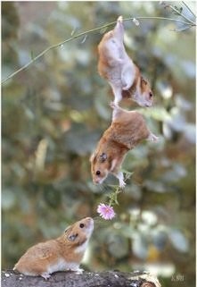 Czemu tak nie jest w rzeczywistości?