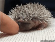 jejciu ... zakochałam się