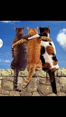 friends