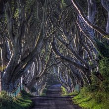 The Dark Hedges - niezwykła aleja w Irlandii Północnej
Prze­pięk­na bu­ko­wa aleja sta­no­wią­ca frag­ment Bre­gagh Road nie­da­le­ko Armoy w Ir­lan­dii Pół­noc­nej to nie­wąt­p...