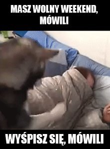 .... gif.  Masz wolny  weekend mówili . WYŚPISZ SIĘ , MÓWILI