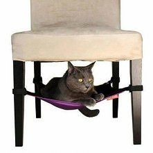 Chcesz więcej takich zdjęć ...