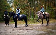 Kocham te wyjazdy w teren.