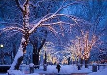 december <3