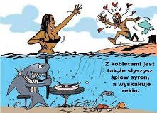 rekin