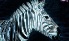 Zebra i paski 3d.
