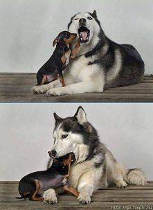 omniomniomnioniom <3 
Pi...