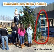 komu potrzebna drabina