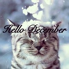 hello december :)