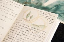 Co myślicie o pisaniu dzien...