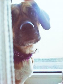 miłość mego życia <3 :)