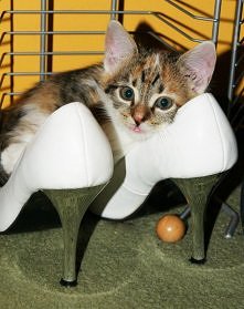 ...bo kto powiedział, że ty...