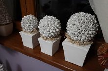 Szyszki z buku w dekoracji ...