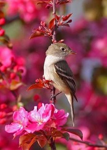 tak wiosennie dla odmiany :D