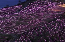 Pola ryżowe Shiroyone Senmaida, Japonia