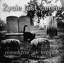 Życie jest cenne, nieważne ...
