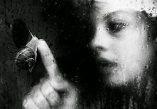 by Marcella Cicchino