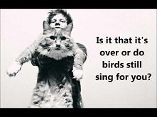 Ed Sheeran - Autumn Leaves (lyrics)

It's not complicated !