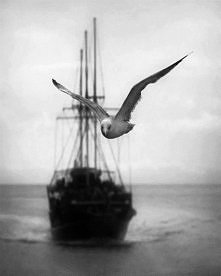 Co jeszcze potrafi wzruszać? Bo już nie śmierć - ona spowszedniała. Potrafi wzruszać widok samotnej mewy, zrywającej się bez wysiłku z ulicznej latarni. (...) Potrafi wzruszać o...