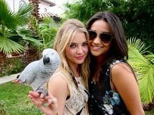 Ashley Benson & Shay Mitchell