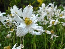 cuane blog.
obs/obs
kto chce, niech pisze w komentarzach :)