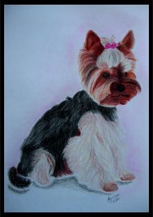 Profesjonalne rysunki na zlecenie, polecam się. chmielewskaj @o2.pl

Pociecha znajomej.
Format A4, kredki.