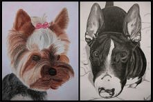 Profesjonalne rysunki na zlecenie, polecam się. chmielewskaj @o2.pl

Piękna i Bestia, choć jedno i drugie urocze.
Rysunki kredkami i ołówkiem.