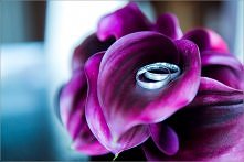 Detale Ślubne
fot. DorotaRojek.pl