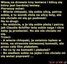 Haha szczyt lenistwa