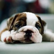 tam gdzie ty, tam i ja