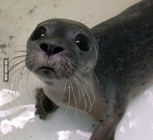 aż chce się ją przytulić