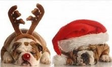 Odpoczniemy po świętach