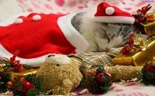 Tak cieplutko i milutko <3