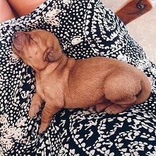 Awwww :)