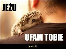 :DD