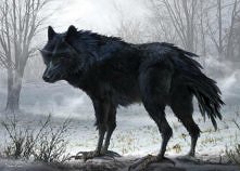 Diaval in wolf form
