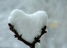 zimowe serduszka