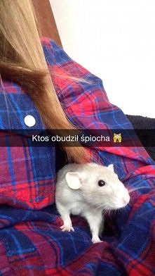 moja Zuzolka :3