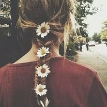 kocha czy nie ?? stokrotki '-'